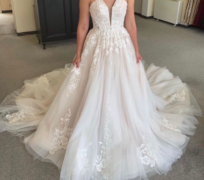 I’m wanting to add glitter tulle will i ruin the dress ? - 1
