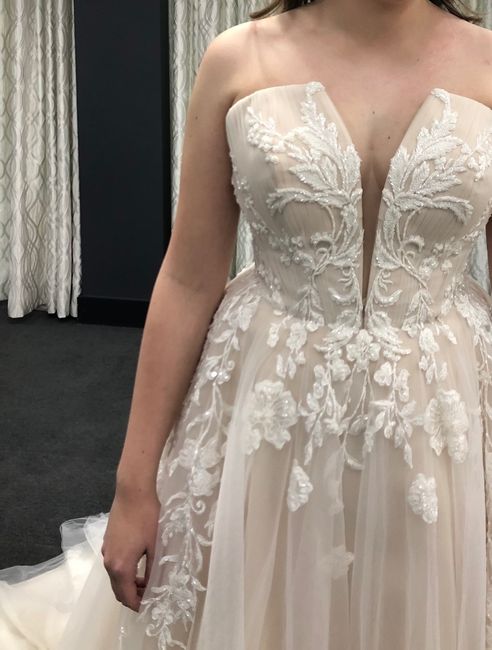 I’m wanting to add glitter tulle will i ruin the dress ? - 2