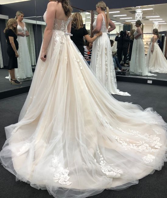 I’m wanting to add glitter tulle will i ruin the dress ? - 3