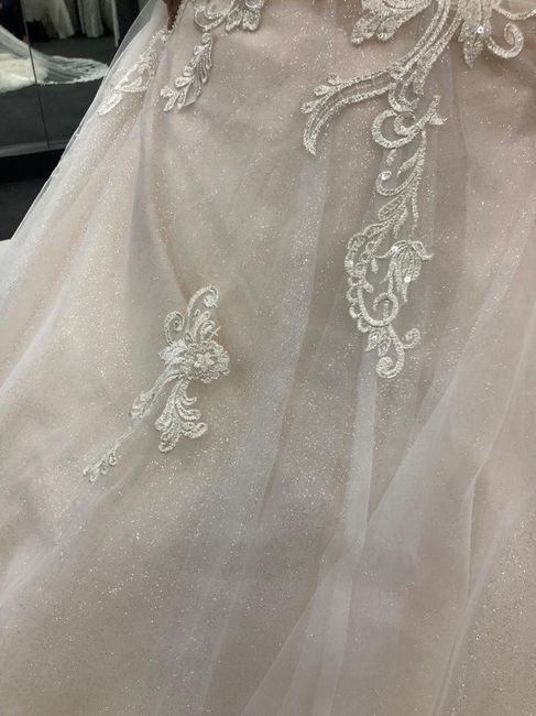 I’m wanting to add glitter tulle will i ruin the dress ? - 4