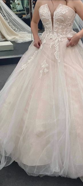 I’m wanting to add glitter tulle will i ruin the dress ? - 1