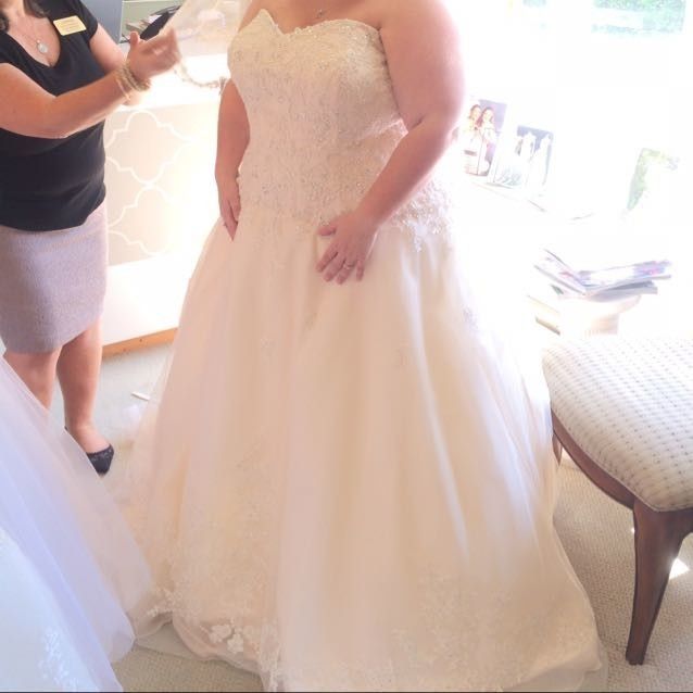 Blush/Pink wedding gown