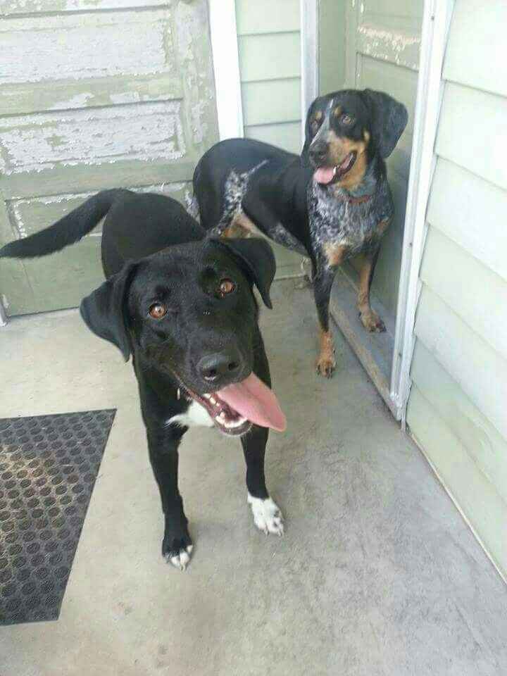 It's Fursday! Share the love!