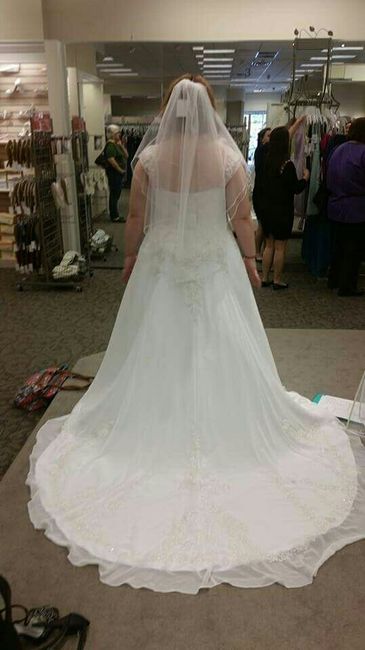Plus Size Brides , share your dress !