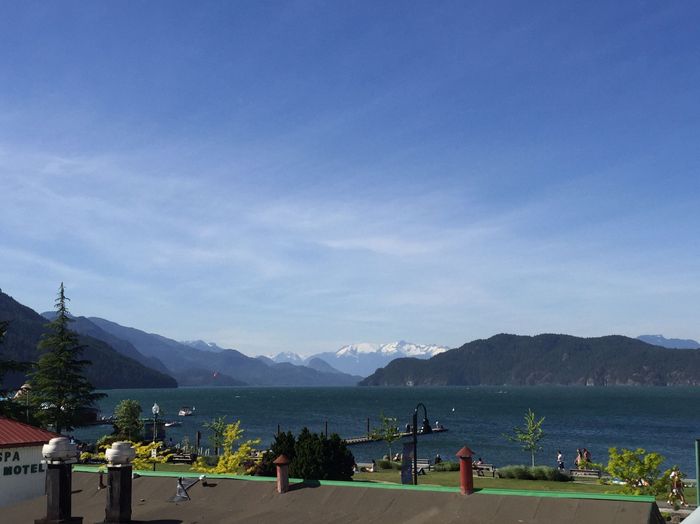 What's everyone doing tonight!