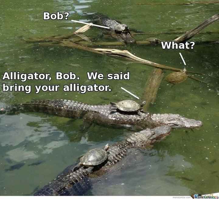 Tickled Tuesday
