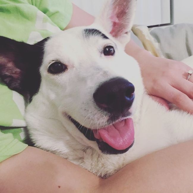 Nwr: my pup