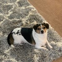 Hope this makes you smile! - 1