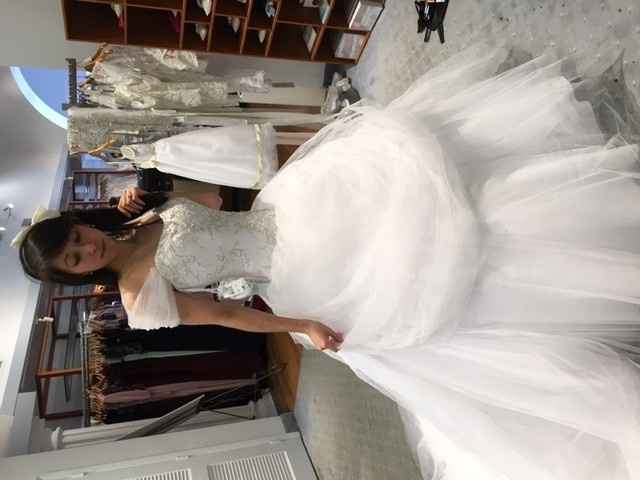 Help Selecting Wedding Dress