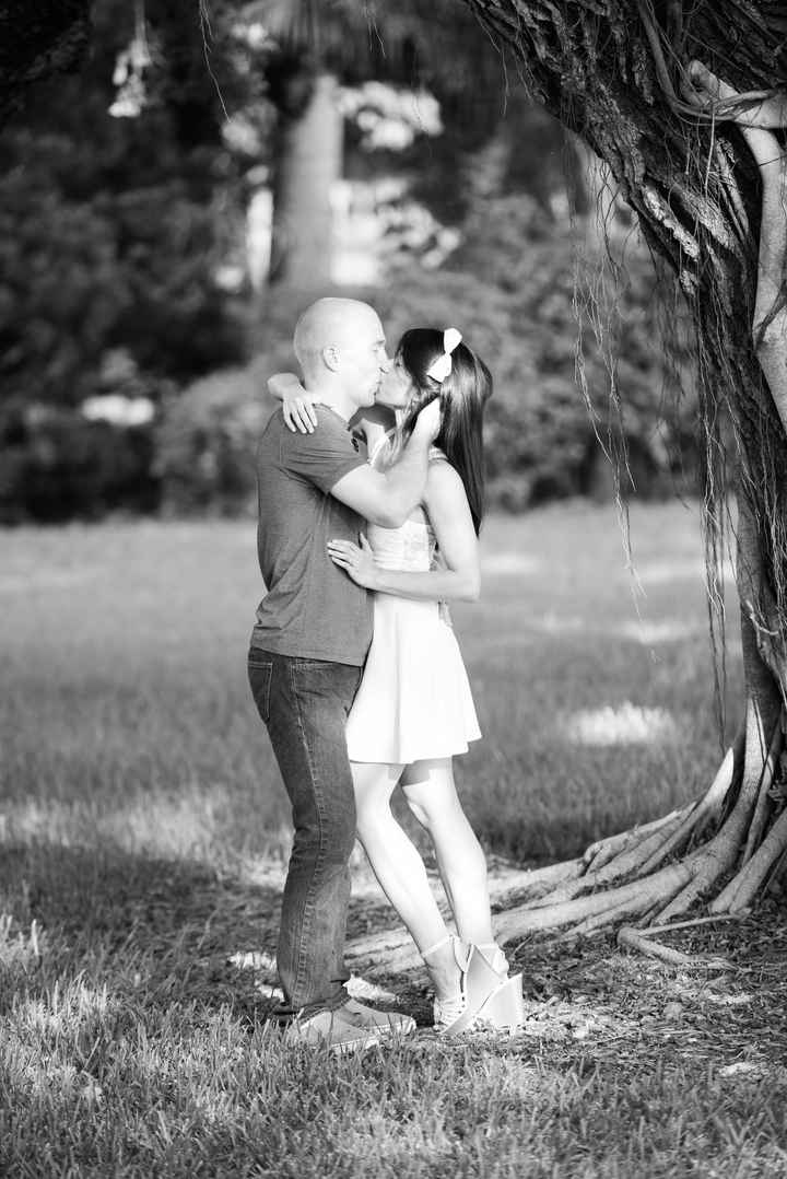 Just Received Professional Engagement Pictures!