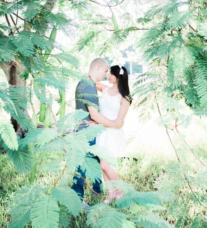 Just Received Professional Engagement Pictures!