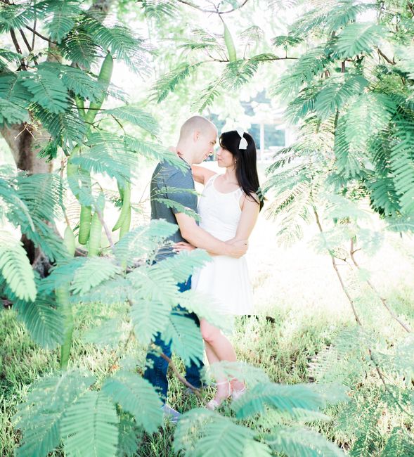 Just Received Professional Engagement Pictures!