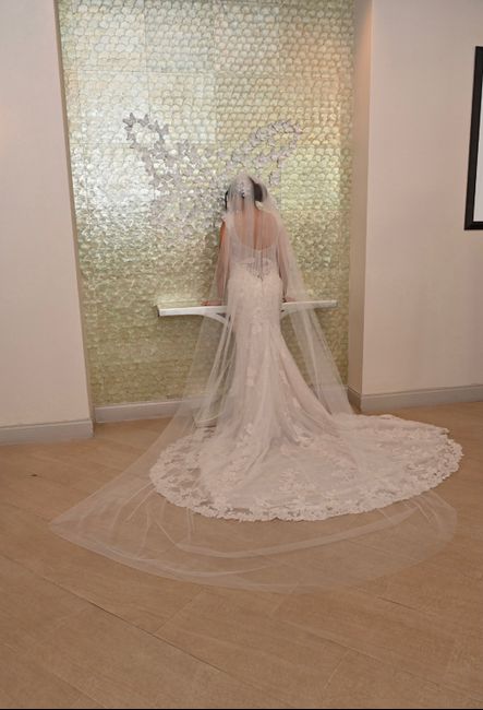 What amount did you spend on your wedding dress? (You don't have to answer) 6