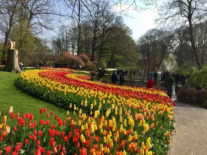 What are you doing on your Honeymoon!!