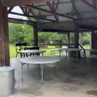 How to make my venues cement less ugly? - 2