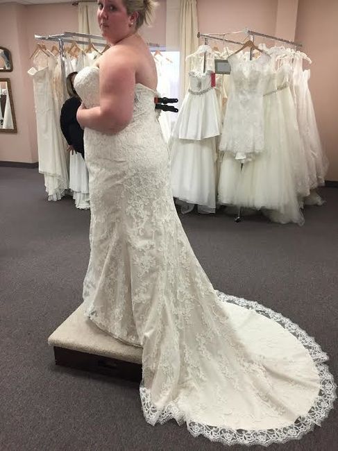 Plus Size Brides (New York) Finding your dress
