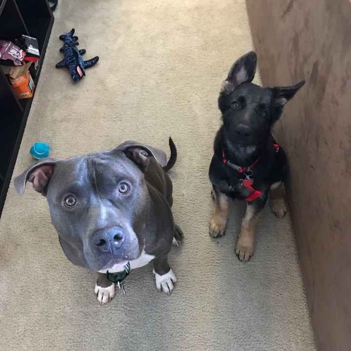 NWR: Nervous Nelly, NCLEX