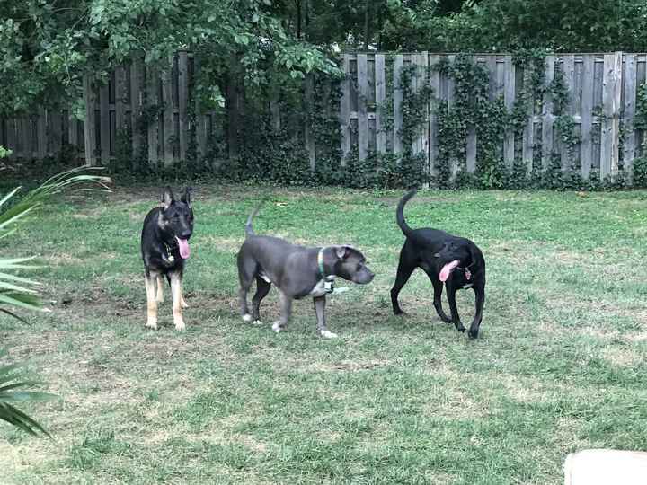 NWR 4th of July photos