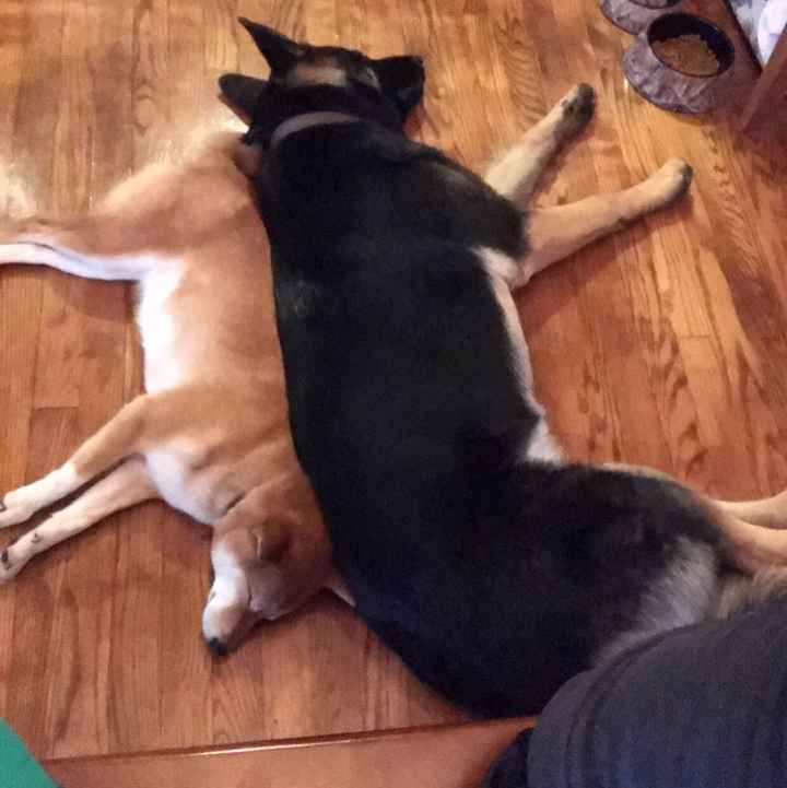 Show Me... Cheering Up!