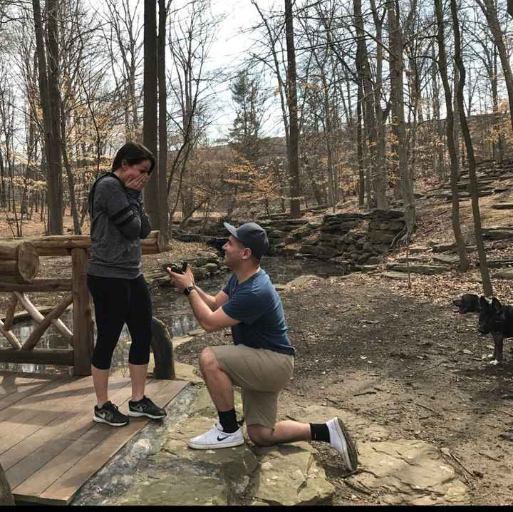 How was your proposal?