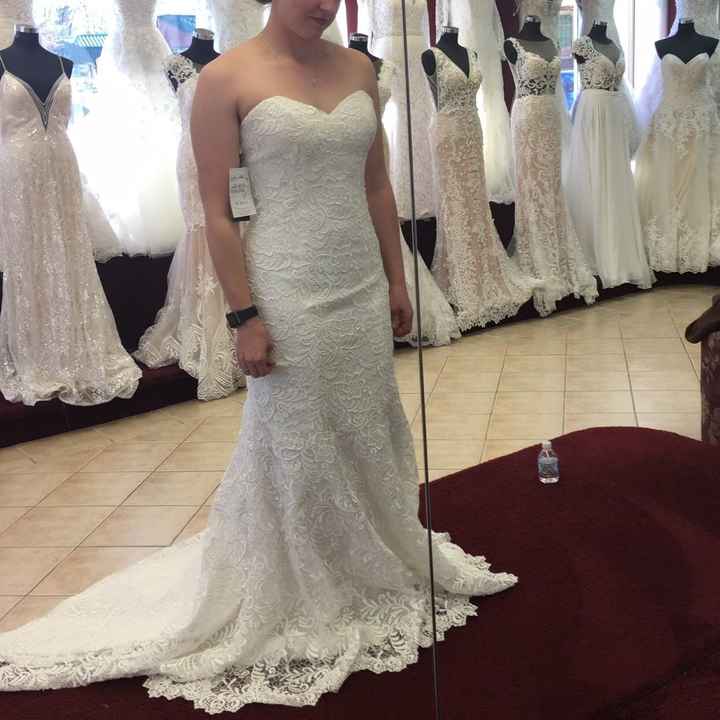 Have you said YES to the DRESS?