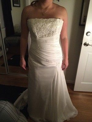Mini-crisis - Hate my dress? Or Just Needs Tailoring? Opinions!