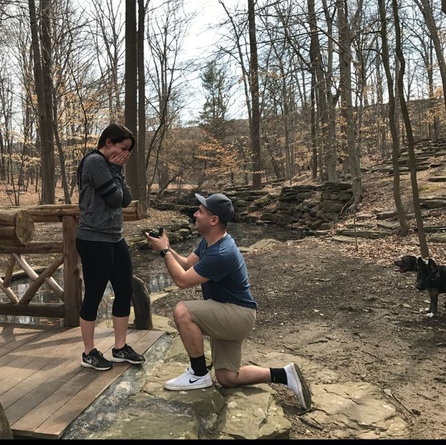 How was your proposal?