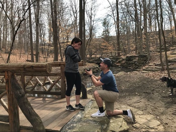 Post a photo of your fiance proposing!