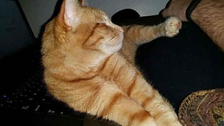 Allow me to reintroduce myself!