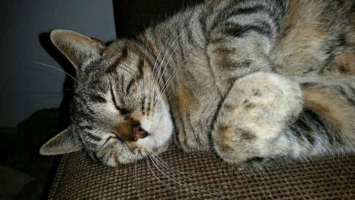 Allow me to reintroduce myself!