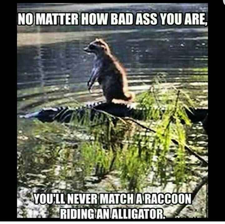 Tickled Tuesday