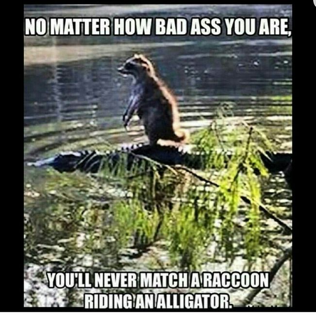Tickled Tuesday
