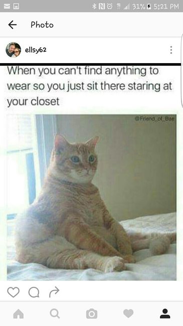 NWR:  Share some Memes