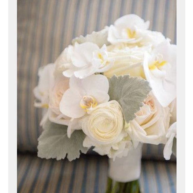 Do you have a must have flower?