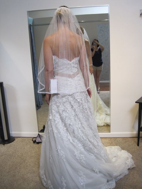 First fitting! Dress pics below!