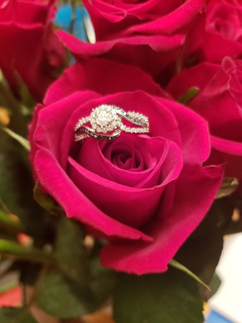 Brides of 2020!  Show us your ring! 13