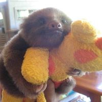 Seems like an awful lot of bad news on here today :(