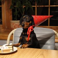 Seems like an awful lot of bad news on here today :(