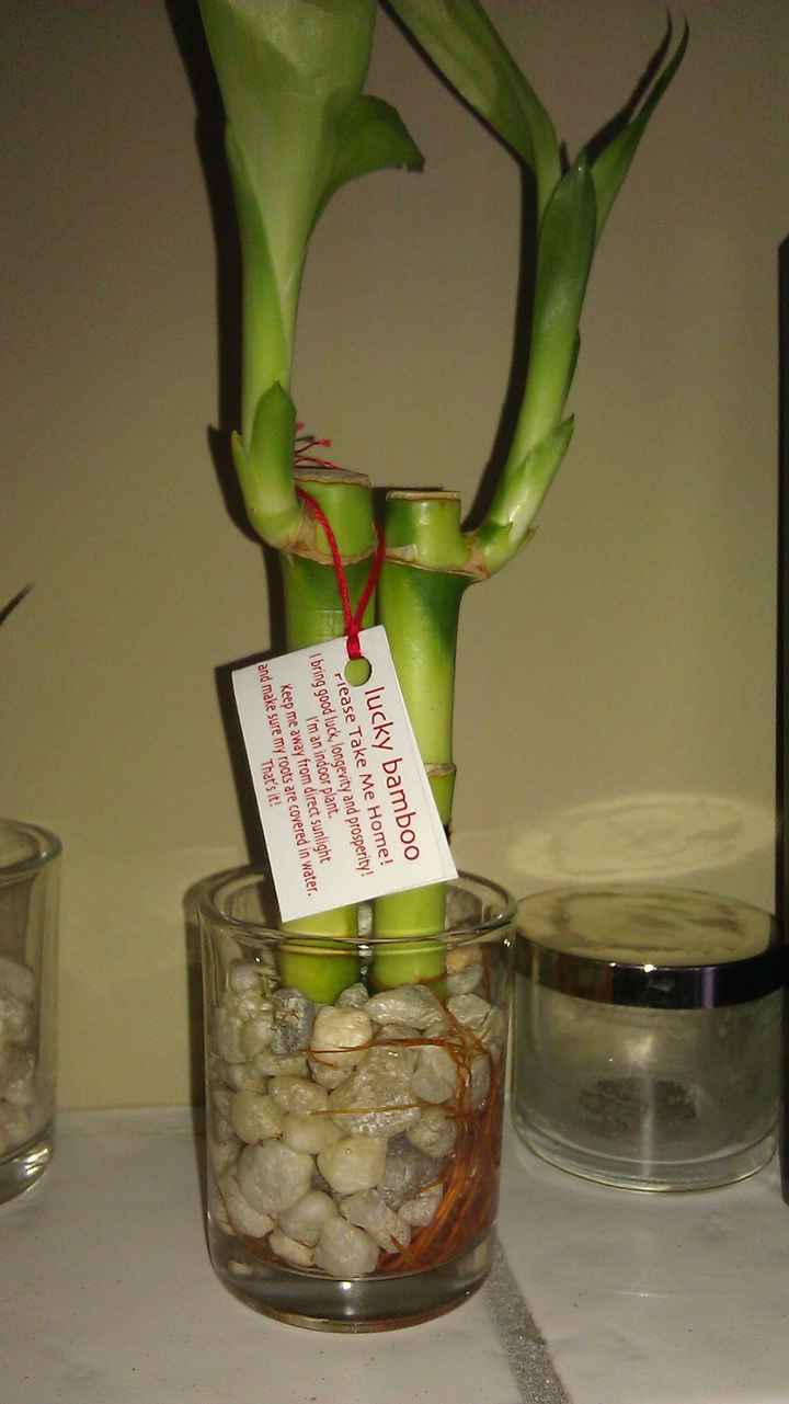 DIY Favors! kinda... and what kind of budget did you set?