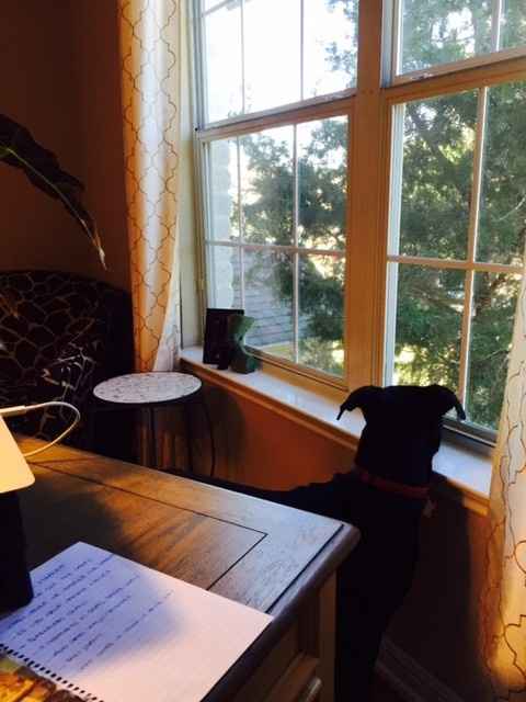 NWR Spinoff:  Show me your "view"!