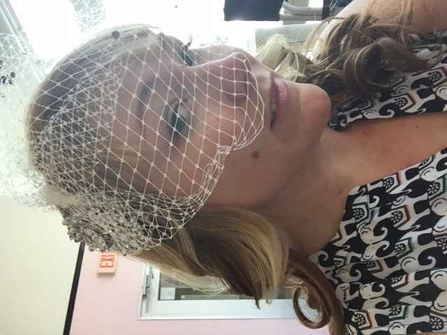 Birdcage Veil