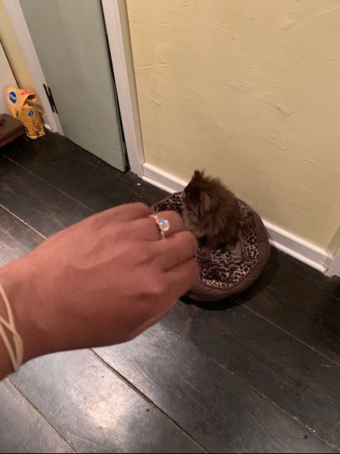 Brides of 2020!  Show us your ring! - 1