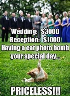 Wedding MEMES!