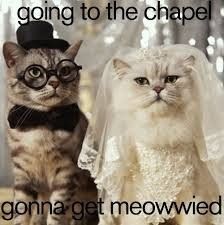 Wedding MEMES!