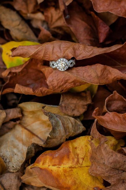 Engagement Pics are in Early!
