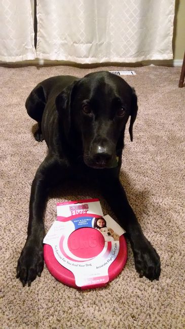 WW Secret Santa Thank You / Guessing Thread