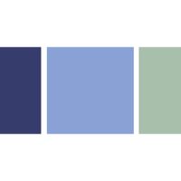 What are/were your wedding colors? - 3
