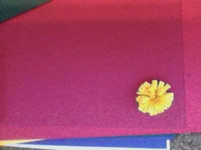 DIY paper flowers (picture)