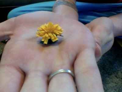 DIY paper flowers (picture)