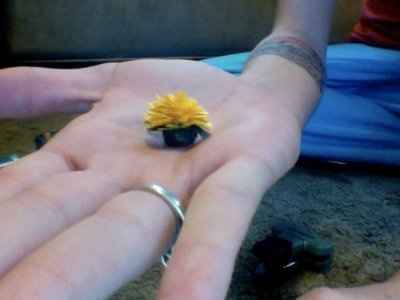 DIY paper flowers (picture)